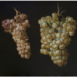 Explora la colección > fernández